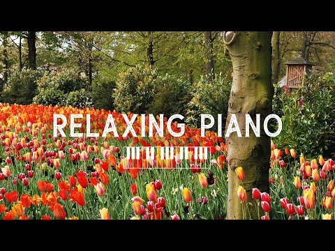 [Piano] 마음을 진정시켜주는 감성적인 피아노 연주곡