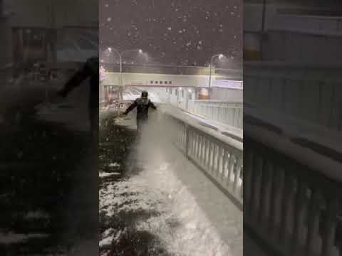ホヤヒデキ豪雪の巻✨