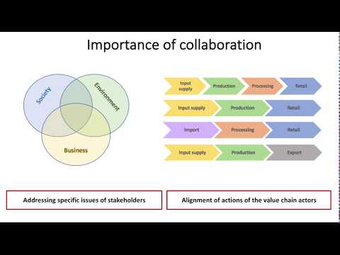 A template for sustainable food value chains