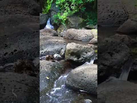 ✨ Flowing Water with Soft Piano | Relaxing Music for Meditation, Sleep & Stress Relief #soundofsoul