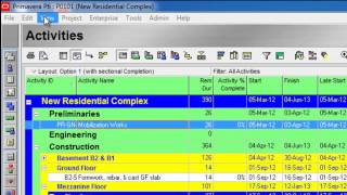 Oracle P6 as practiced on site Learning Course