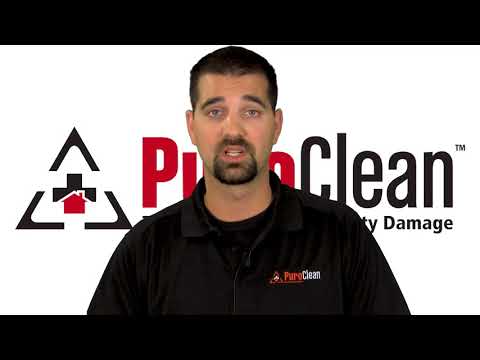 PuroClean of Strafford county