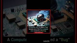 why computer error is called a 🪲 bug🤔