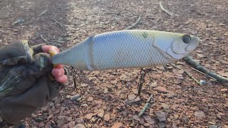 Taking Back Saturday 