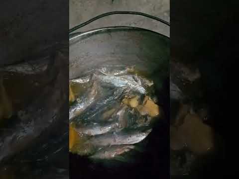 PAKSIW NA TULINGAN, SINALMON STYLE