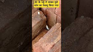 सांप का रेस्क्यू । सांप पकड़ने के लिए सम्पर्क करे । #viral #snake #funny #bollywood #dance #comedy