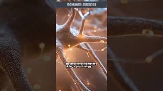 Neuroscience Introduction | What is Neuroscience? | Neuroscience Definition | Neuroscience Explained
