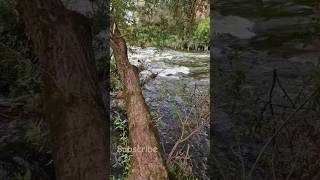River threshold
