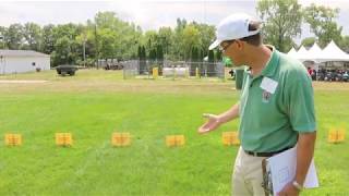 Organic Weed Control: Corn Gluten Meal