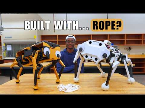 I Built an Even Better Robot Dog