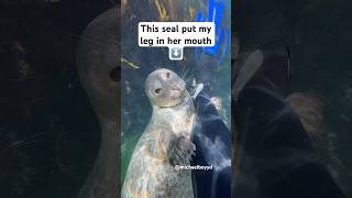 This seal put my leg in her mouth