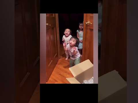 Funny video, e3, #shorts  #shortsfeed