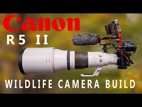 Canon R5 Mark II wildlife camera build unboxing and assembly