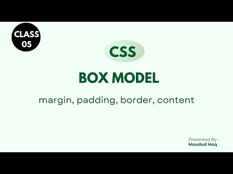 Class 05: CSS Box Model Explained in Bangla  Margin vs Padding vs Border  Web Development Tutorial