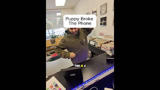 PUPPY BROKE HIS PHONE!!! #brokenfix #smartphone #education #tech #problemfix #cellphone