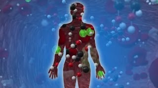 How Does a PET Scan Work?