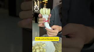 Hydroponics garlic #lovegarden #vegetables #planting #gardentips #growplants #plantcare #gardening