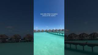 #maldives #tropicalchill #travel #beachresort #watervilla