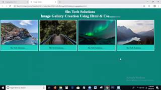 Image Gallery | Image Gallery In Html Css| How To Create Image Gallery In Html and Css