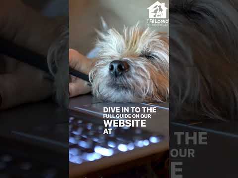 December Holiday Tips for your Pet