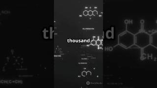 The Big Bang: From Nothing to Everything