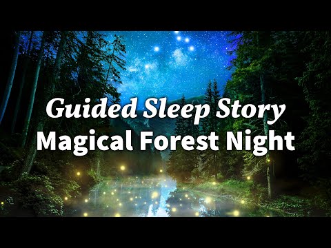 A Rainy Night in the Forest: A Cozy Sleep Story with Rain & Nature Sounds