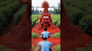 Mirch se bane bholebaba ka video