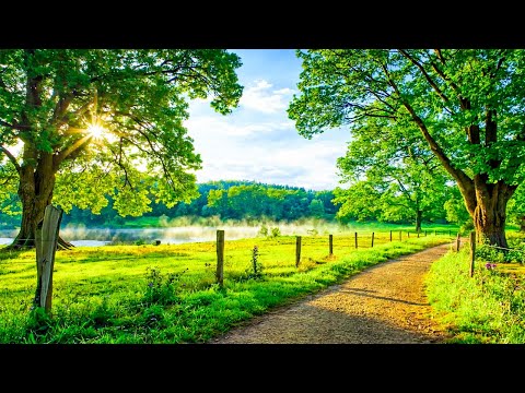 Relaxing Music For Stress Relief, Anxiety and Depressive States • Heal Mind, Body and Soul #6