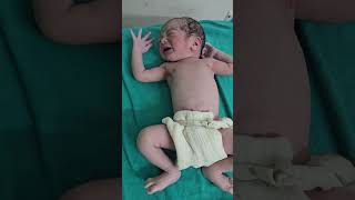बच्चा कैसे रो रहा है😭😭 #cuteanimal #shortfeed #colonelkkjϟ #cutebaby #baby #cutepet