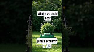 What if we could hear plants scream? 🌱🔊 #whatif #science #curiousmind