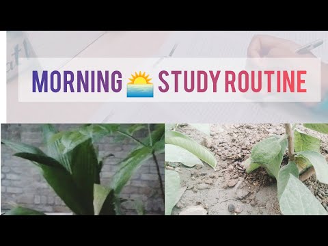 Morning study routine/ study vlog || 12th grader || productive day in my life