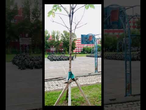 Chinese Students Army Training❌ Maqsad✅ #jiamusiuniversity #chinamedicaluniversity