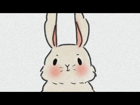 Cute Bunny 🐰