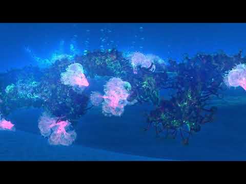 3D Underwater Environment Design