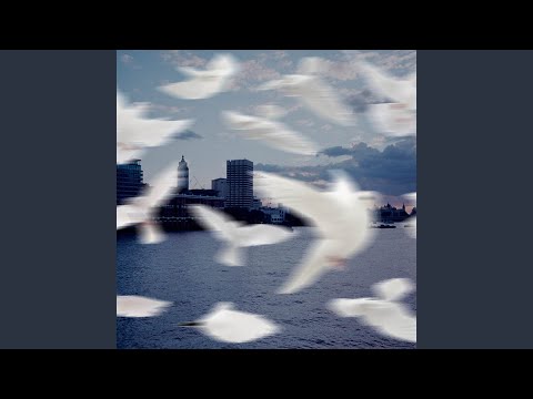You Remain (Live)