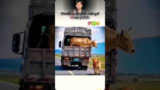 #youtubecreator #instareels #trending #beliyoutube #shortvideo #beliakunyoutube #beliyoutubepremium