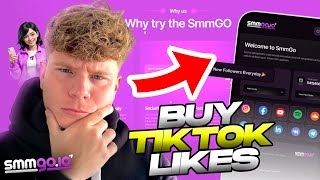 What should I Know when choosing the best SMM panel for TikTok likes?