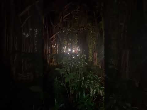 #banyantree #tajhotels #goa #beautifulgarden #gardenlighting