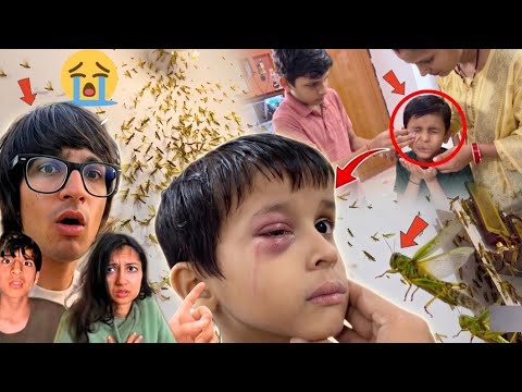 Room Me Kidho Ka Attack 😭 #souravjoshivlogs #funny #meme