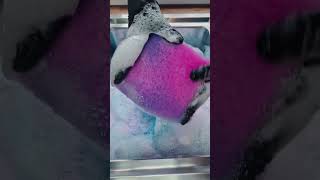 blue 💙 pink 💖 squeeze @easysqueezy75 #asmrsponge #spongeactivity #spongesqueezing #meikoasmr