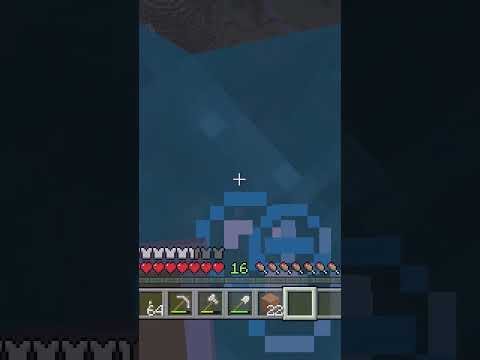 I Could've Sworn This Was Single Player  #minecraft #minecrafthorror #gaming