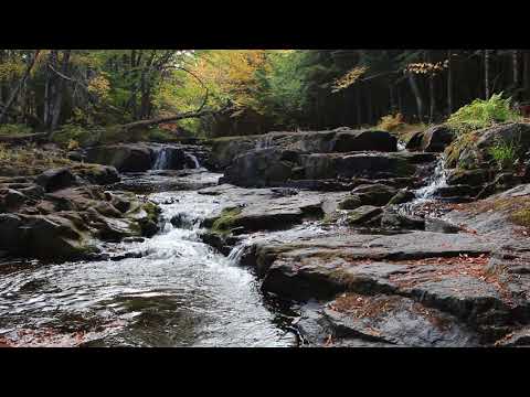 Pokiok falls fall