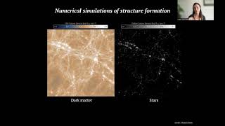 Explainable deep learning models for cosmological structure formation