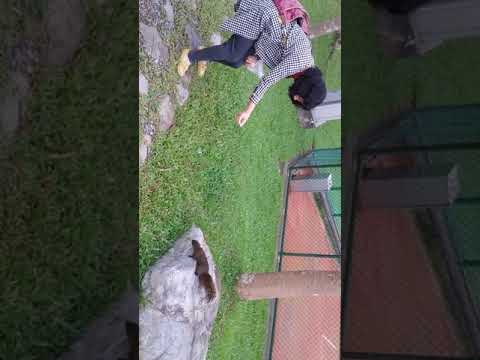 宜蘭羅東公園餵松鼠