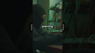 If Pablo Escobar Was a Software Engineer #funny #funnyshorts