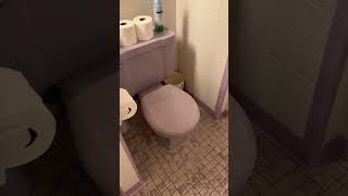PURPLE TOILET & TUB! #zillow #oklahoma #hometour #renovationproject #oklahomalife