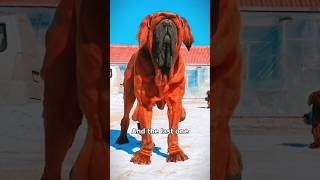 Top 9 Most Dangerous Dogs 🐕‍🦺 That Have Killed the Most Humans