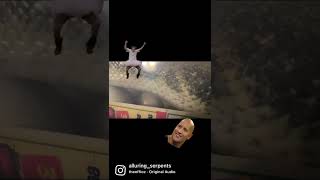 Banana calico het pied genetic stripe x calico genetic stripe… ball python laying eggs.