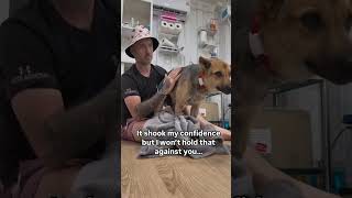 A second Chance for this broken street dog #streetdogs