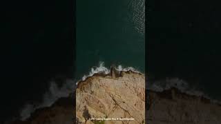 Worry |RUMI | Inspiring Vibes |